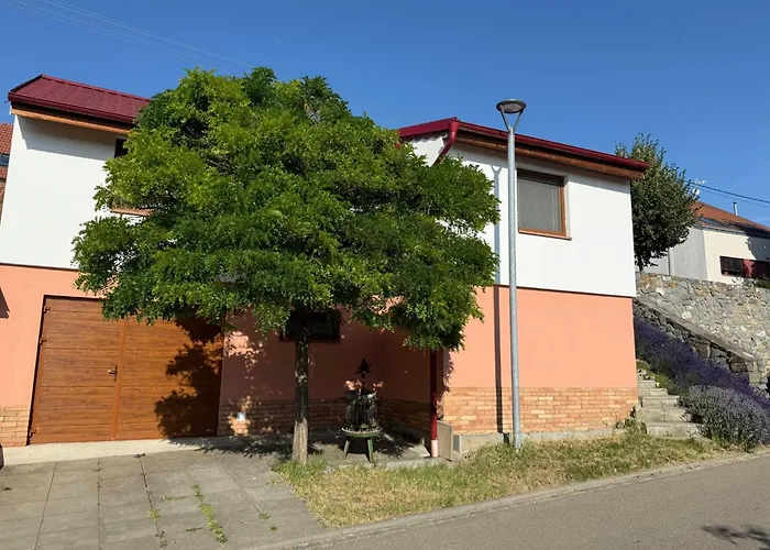 Apartment Pavlenka
