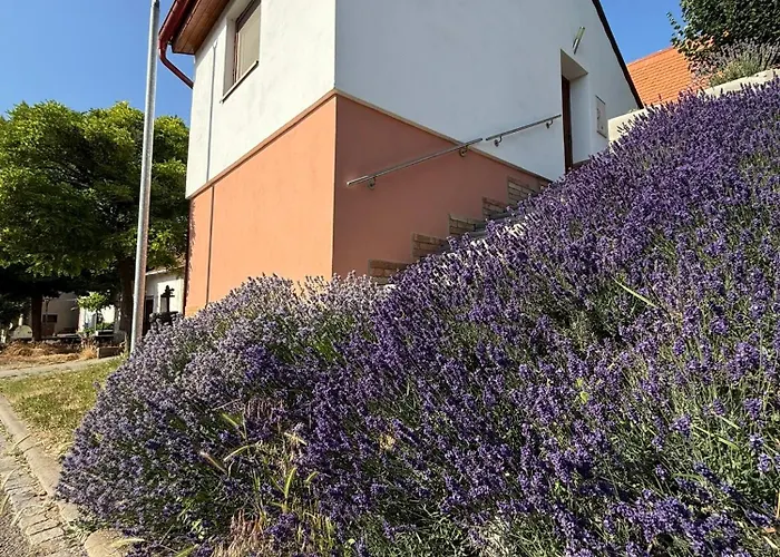 Pavlenka * Hustopeče